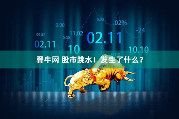 翼牛网 股市跳水！发生了什么？