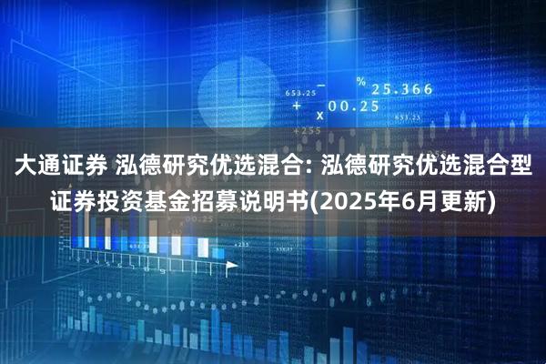 大通证券 泓德研究优选混合: 泓德研究优选混合型证券投资基金招募说明书(2025年6月更新)