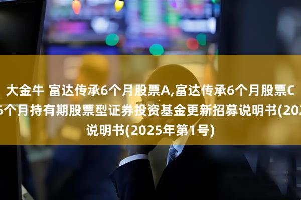 大金牛 富达传承6个月股票A,富达传承6个月股票C: 富达传承6个月持有期股票型证券投资基金更新招募说明书(2025年第1号)