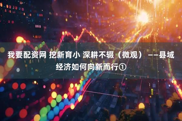 我要配资网 挖新育小 深耕不辍（微观） ——县域经济如何向新而行①