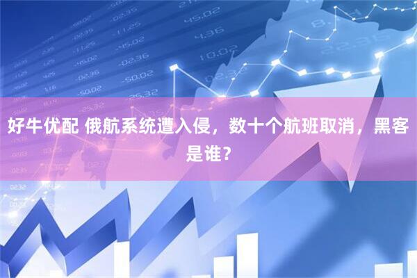 好牛优配 俄航系统遭入侵，数十个航班取消，黑客是谁？