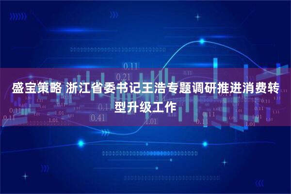盛宝策略 浙江省委书记王浩专题调研推进消费转型升级工作