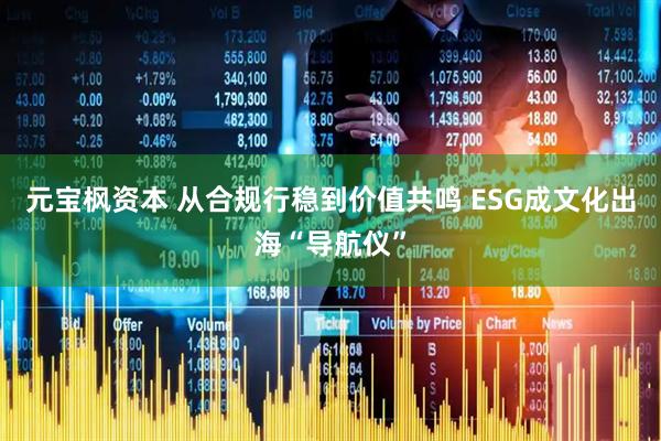 元宝枫资本 从合规行稳到价值共鸣 ESG成文化出海“导航仪”