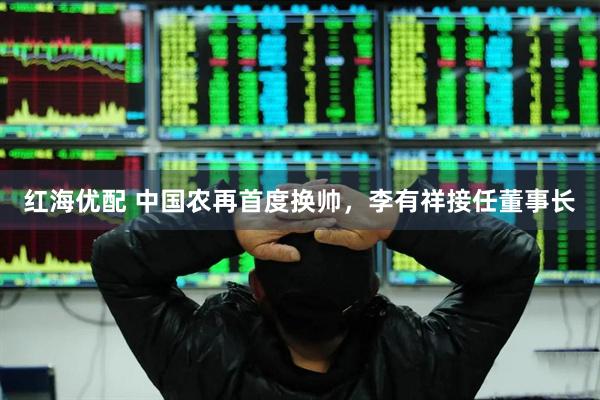 红海优配 中国农再首度换帅，李有祥接任董事长