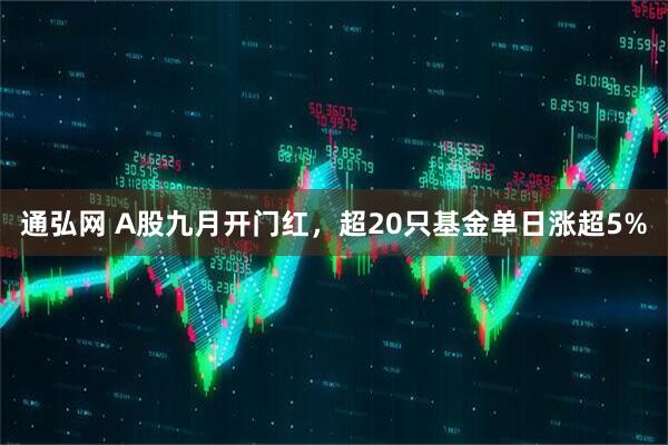 通弘网 A股九月开门红，超20只基金单日涨超5%