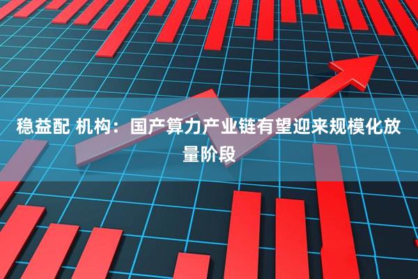 稳益配 机构：国产算力产业链有望迎来规模化放量阶段